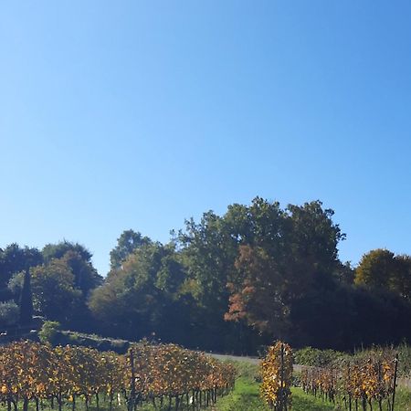 Acero Rosso B&B In Franciacorta Erbusco Dış mekan fotoğraf