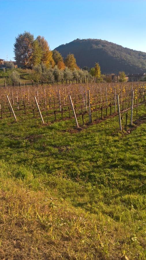 Acero Rosso B&B In Franciacorta Erbusco Dış mekan fotoğraf