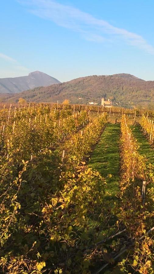 Acero Rosso B&B In Franciacorta Erbusco Dış mekan fotoğraf